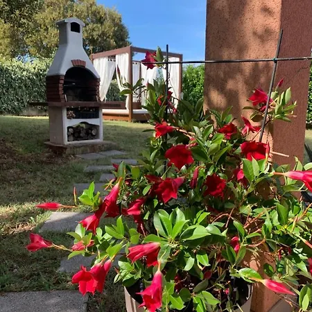 Ines Apartamento Bale