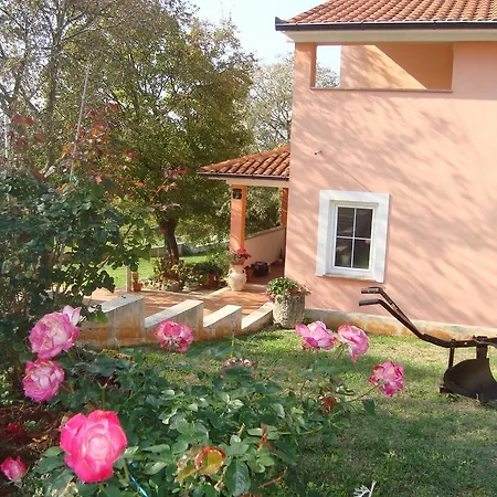 Apartament Ines *