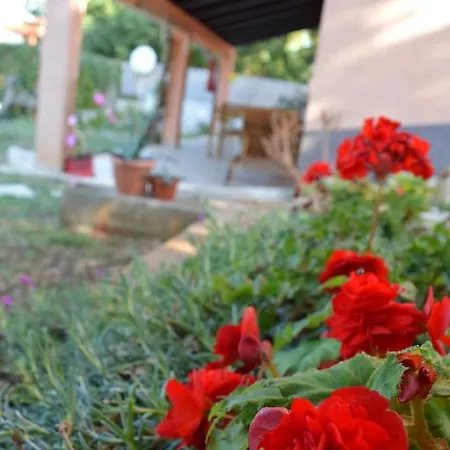 דירה Ines באלה